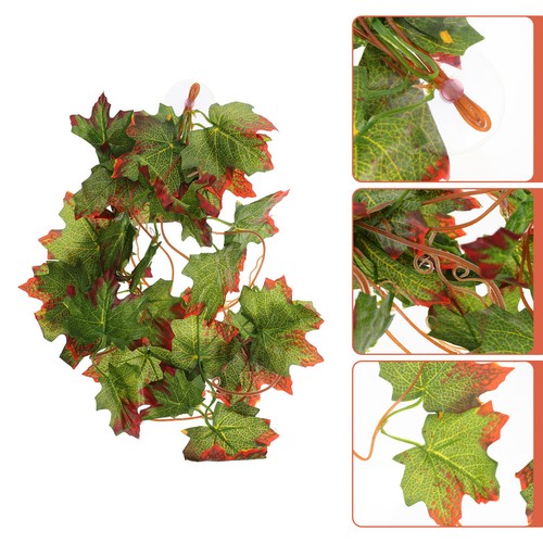 Accessoire pour terrarium - pour,