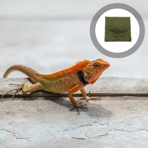 Doublures terrarium tapis - de,