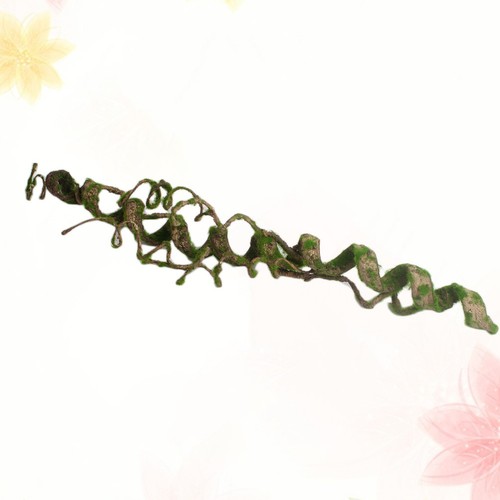 Accessoires pour terrarium - pour,