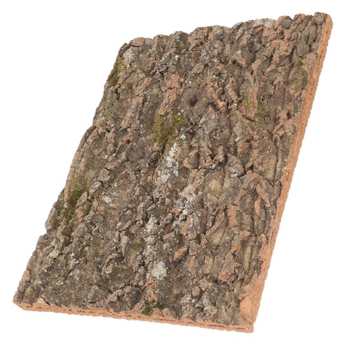 Fournitures pour terrarium - fournitures, en